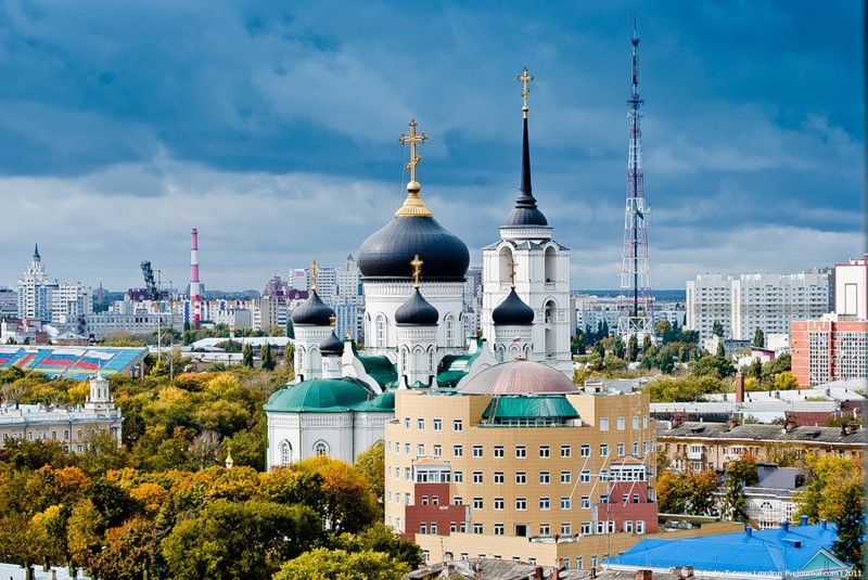 В Ростовской области назначили нового главу УФНС