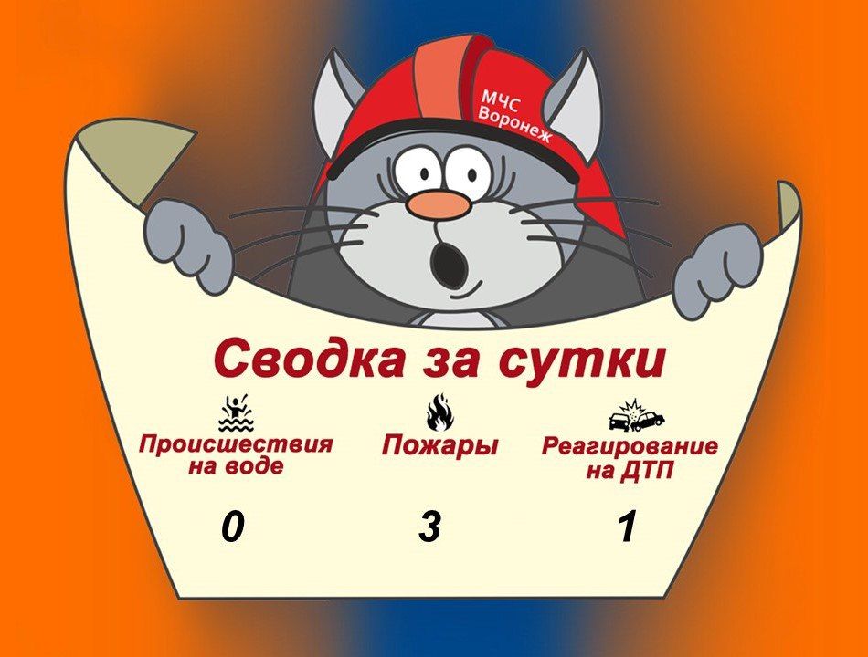 Оперативная сводка за сутки