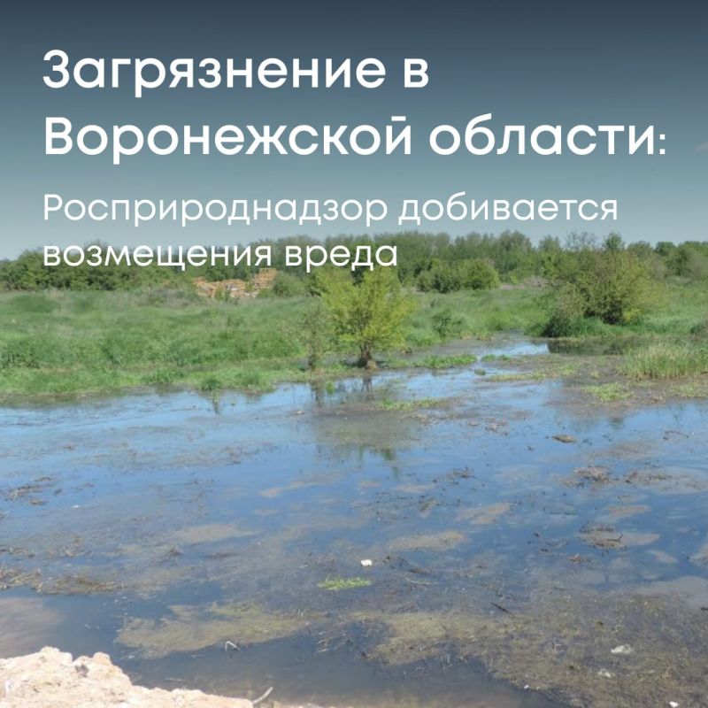 Центрально-Черноземное управление Росприроднадзора добивается взыскания более 2,4 млн рублей за ущерб, причиненный почвам в Воронежской области