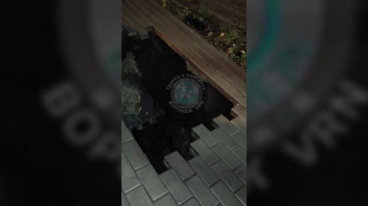 В Воронеже на улице Старых Большевиков провалилась плитка