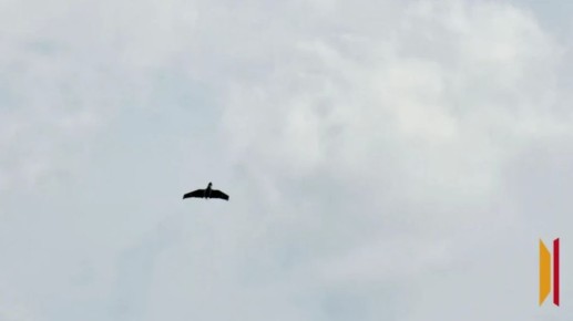 Обломки БПЛА повредили крышу частного дома и автомобиль в Воронежской области