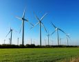 В Воронежской области отказались от строительства ветроэлектростанции на 27 млрд рублей