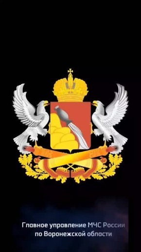 -                55-!