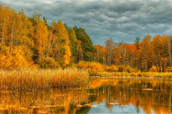 С тех пор, как появились прогнозы погоды, с ней стало твориться что-то непонятное… Представляем прогноз на 15 ноября в Воронеже
