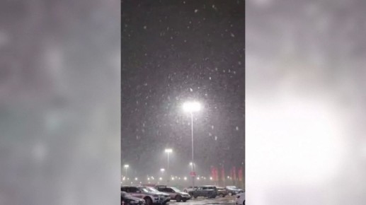 Первый снег в Воронеже сняли на видео