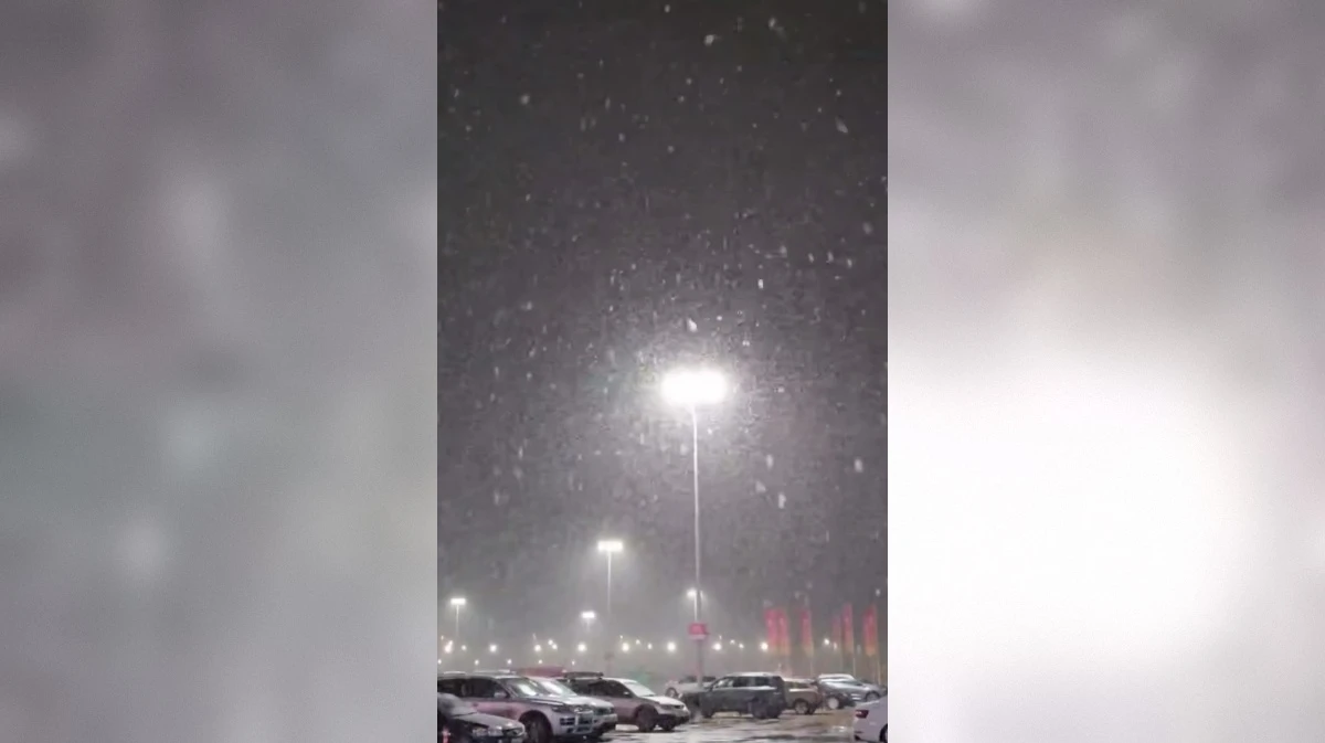 Первый снег в Воронеже сняли на видео