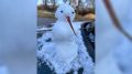 В Воронеже заметили первых снеговиков