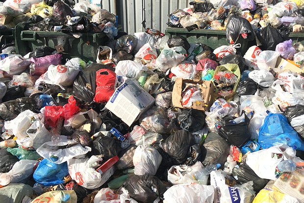 Жители города Семилуки Воронежской области пожаловались на мусорный коллапс.