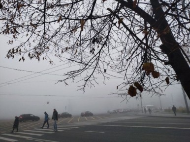 В Воронежской области объявлено штормовое предупреждение из-за сильного ветра и тумана