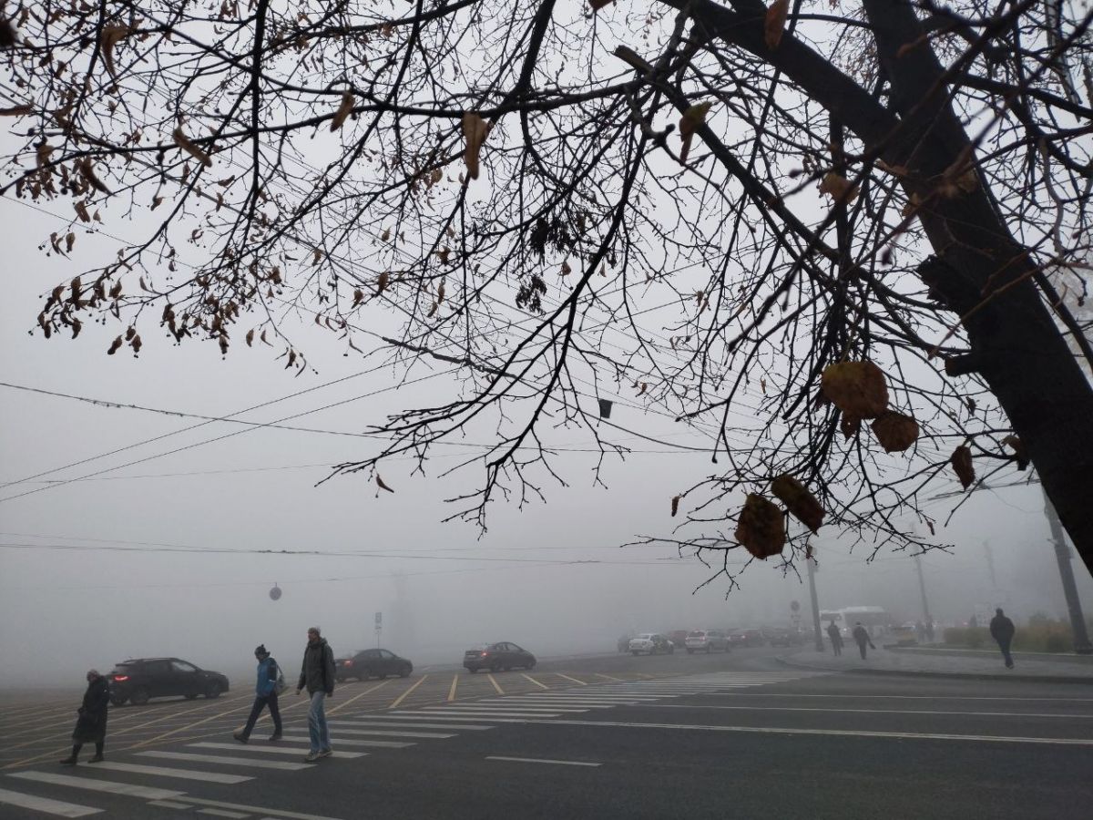 В Воронежской области объявлено штормовое предупреждение из-за сильного ветра и тумана