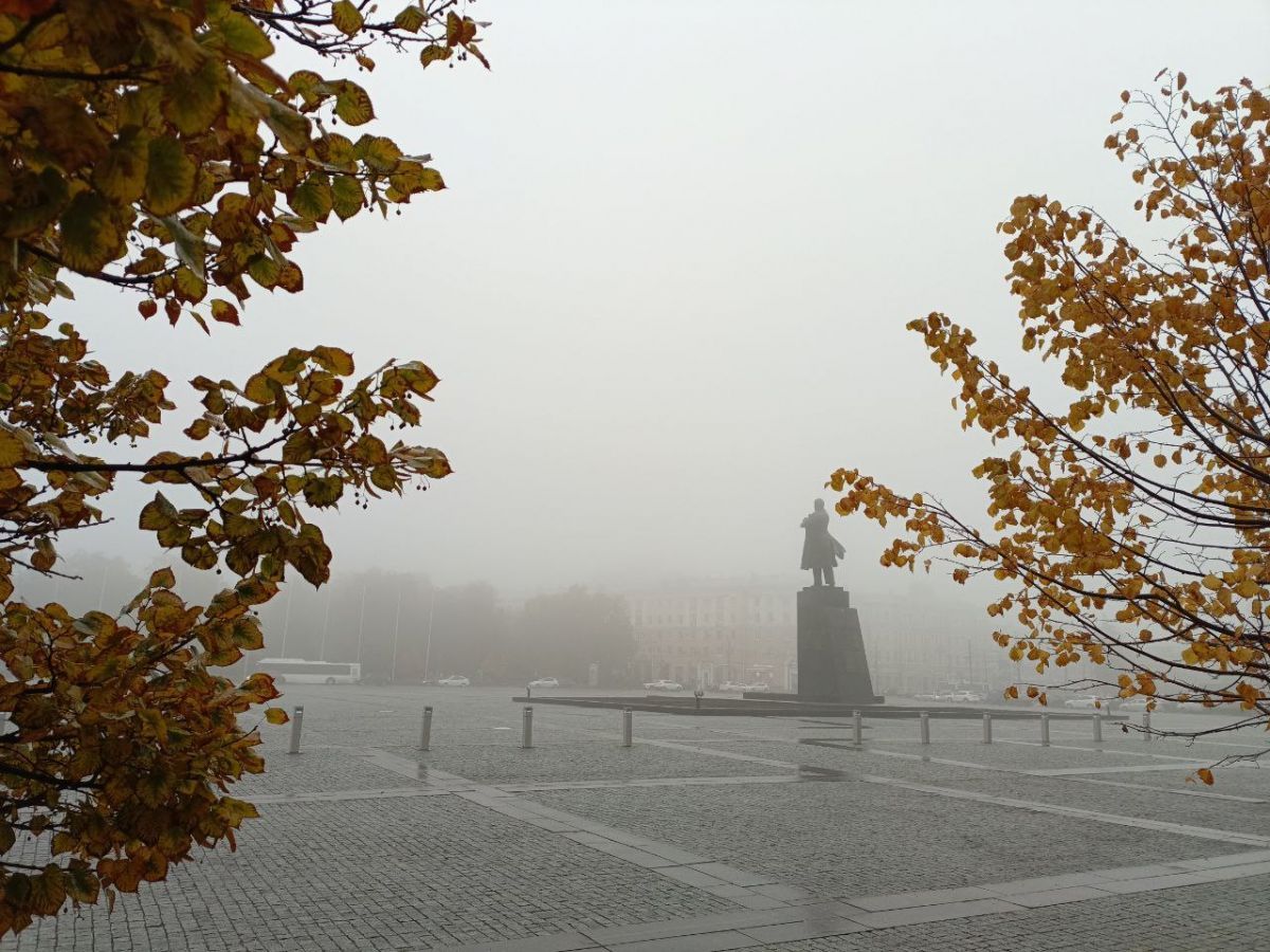 Погода подарит воронежцам осадки в виде дождей и мокрого снега на новой рабочей неделе