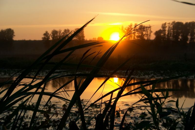 Со дна реки Усманка подняли тело утонувшей пенсионерки