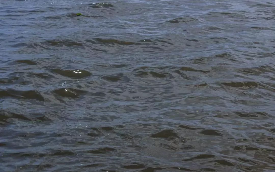 В Новоусманском районе вытащили из реки тело пенсионерки