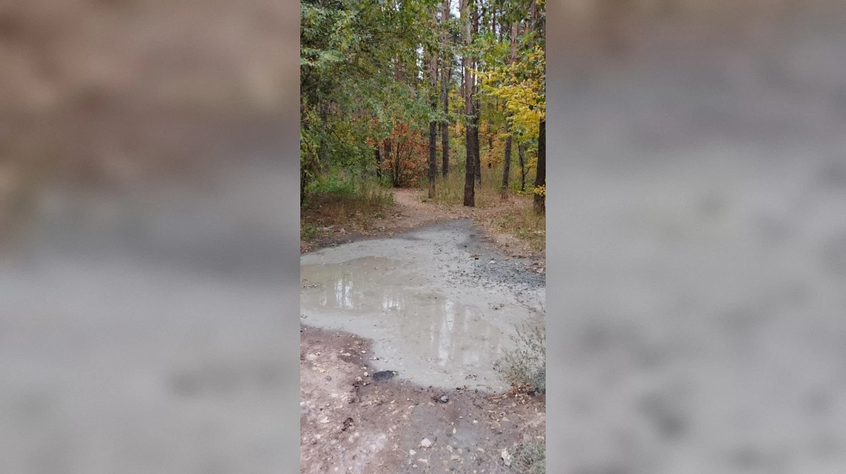 Воронежские полицейские нашли виновного в сливе отходов бетона в Северном лесу