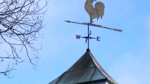 Воронежцев предупредили о ветре с порывами до 18 м/сек