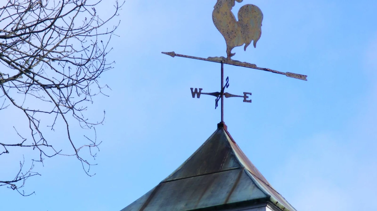 Воронежцев предупредили о ветре с порывами до 18 м/сек