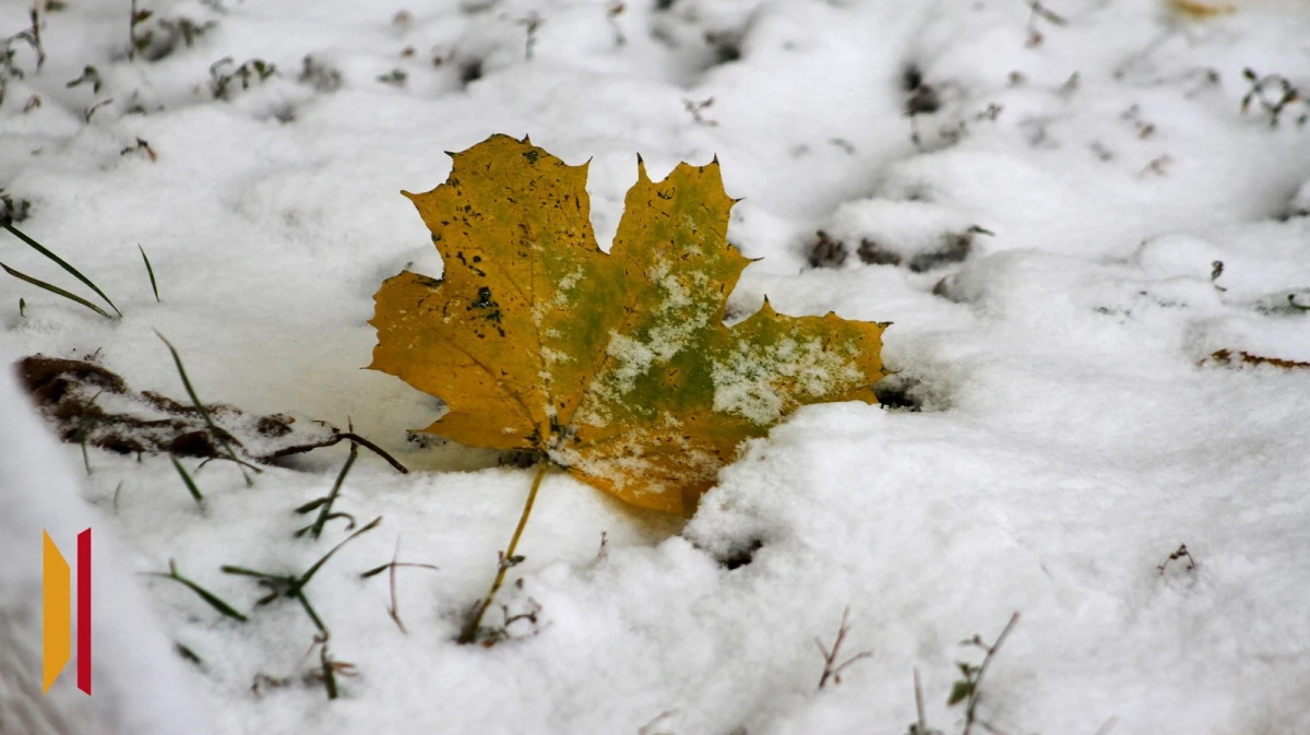 На рабочей неделе воронежцев ждет дождь и мокрый снег