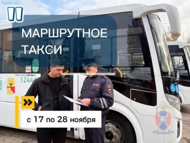 В Воронеже стартовало профилактическое мероприятие «Маршрутное такси»