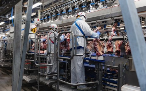 Проверили на личном опыте: как работают обвальщики на воронежском мясоперерабатывающем предприятии АГРОЭКО