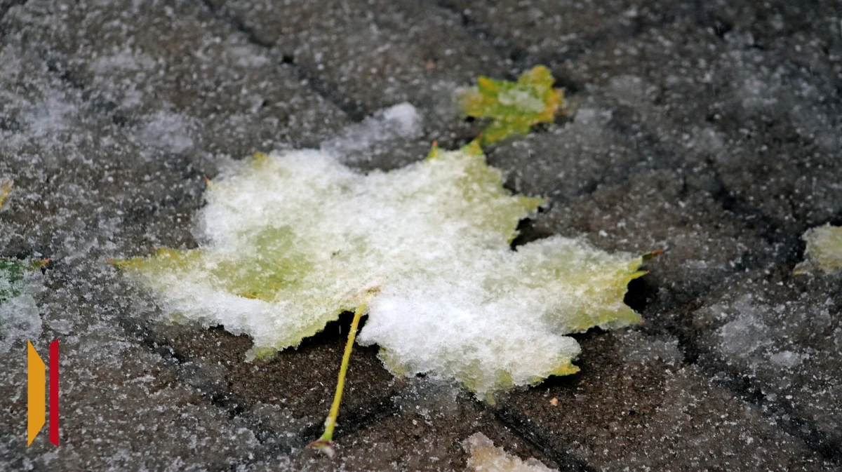Стало известно, придет ли в Воронеж снежный циклон из Москвы