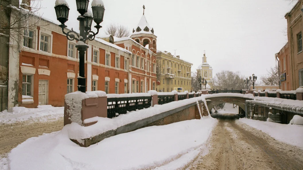 Чиновница из Воронежа с сумкой за полмиллиона обвинила горожан в "токсичности"