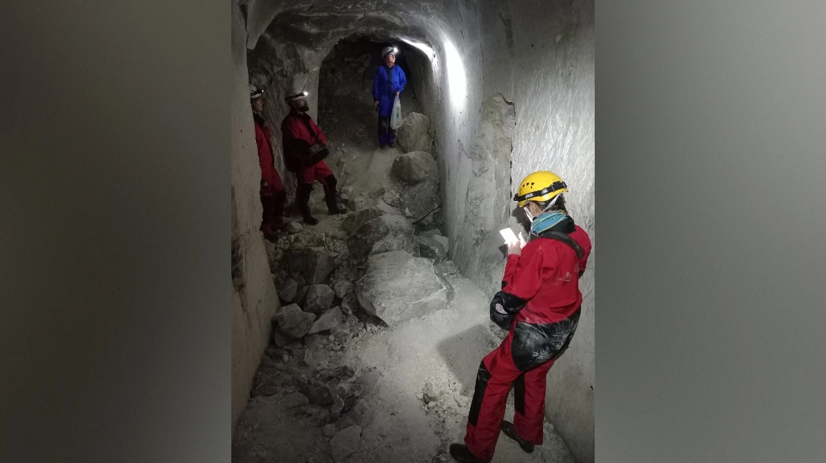 В Воронежской области исследуют зимовки летучих мышей