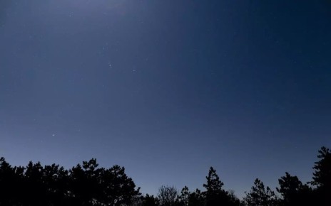 Прошедшей ночью на территории Воронежской области сбили 14 украинских беспилотников