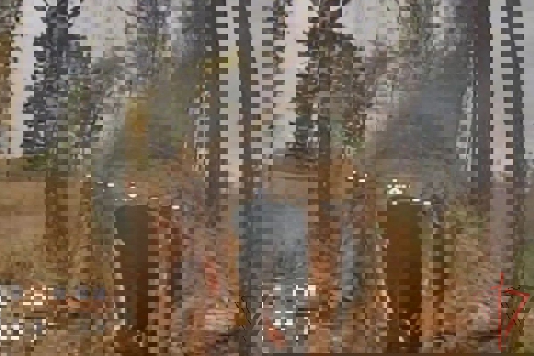 ВОЕННОСЛУЖАЩИЕ РОСГВАРДИИ ПОРАЗИЛИ ВРАЖЕСКИЙ ПУНКТ УПРАВЛЕНИЯ БПЛА В ЧЕРНИГОВСКОЙ ОБЛАСТИ