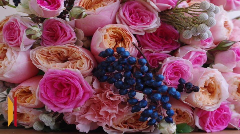 ����������� �������� ��������� �������� � ������� �������� ������ � �������� �� ��������