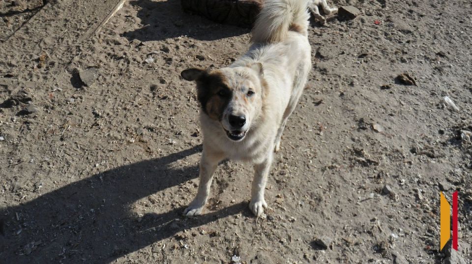 � �������� ����� ��������� �������� ������ �� ������� ��������� ��������� ����