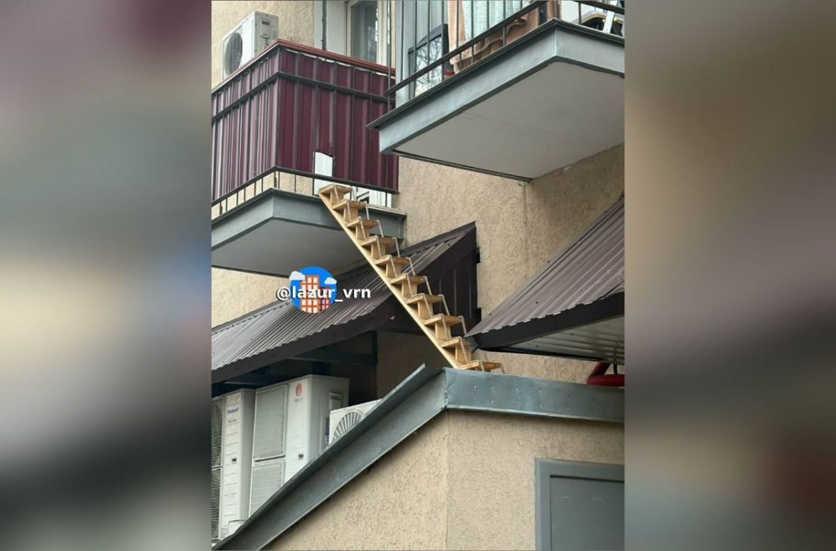 Жители ЖК «Лазурный» в Воронеже соорудили лесенку для кота на балконе четыехэтажки