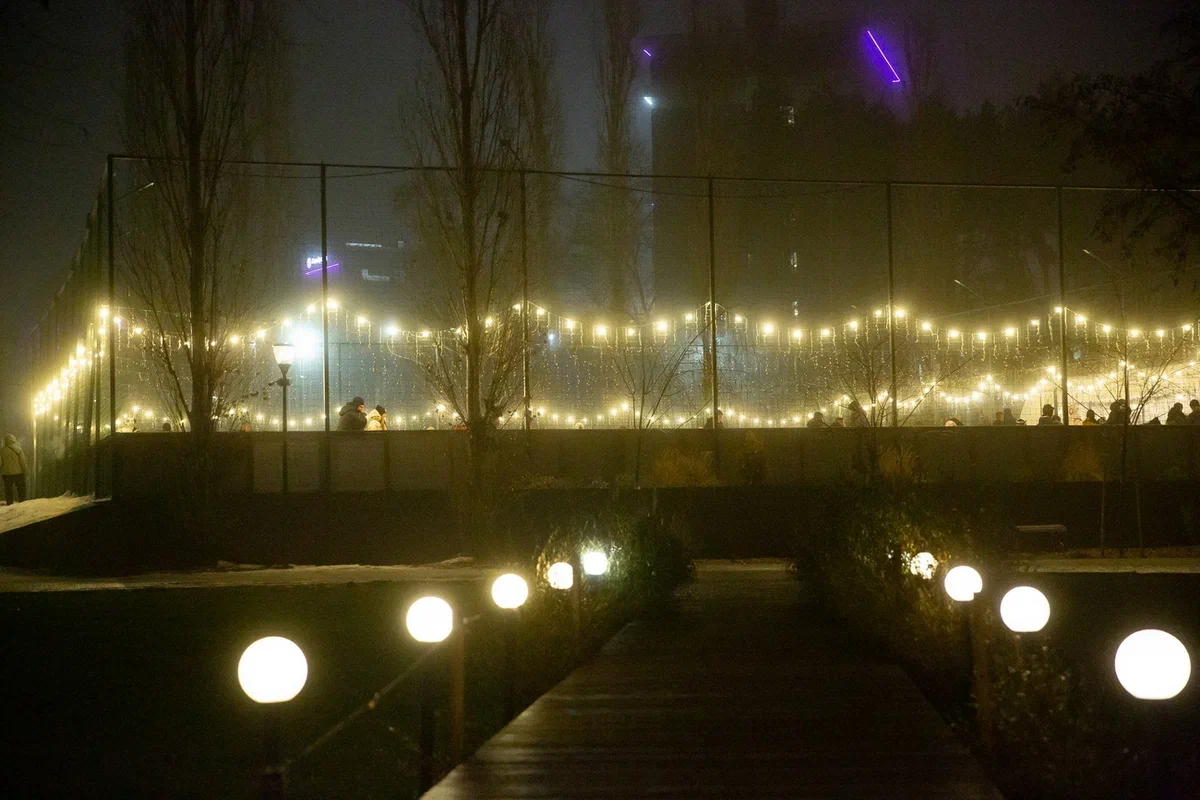 Когда откроют каток в парке «Дельфин» на левом берегу Воронежа, рассказали горожанам