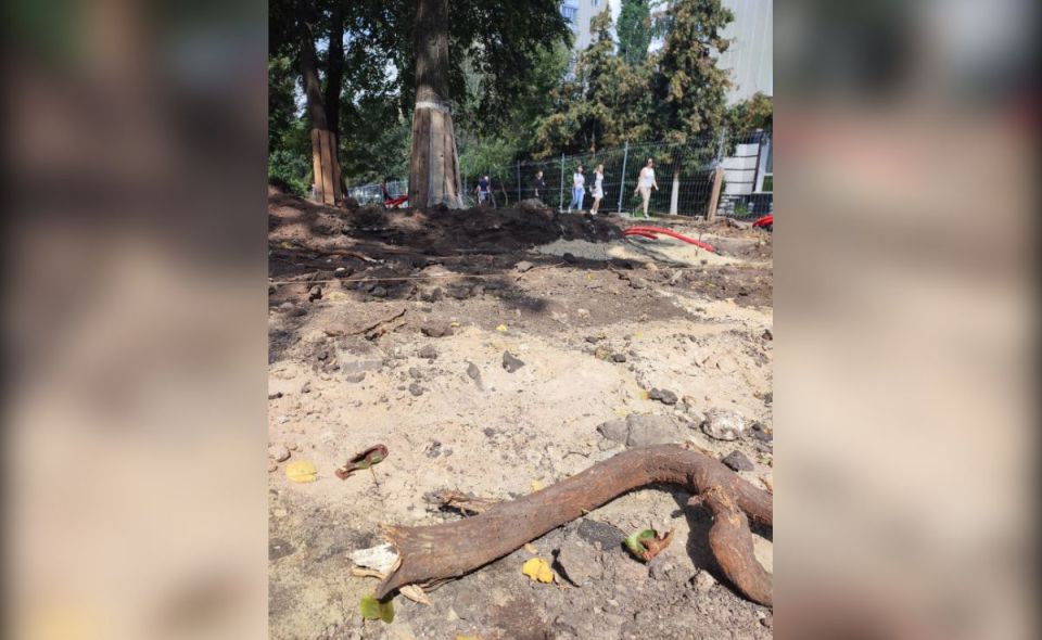 Крик души воронежской: город становится менее зелёным