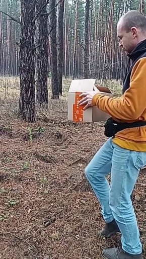 Воронежские волонтеры выпустили на волю выздоровевшую ушастую сову