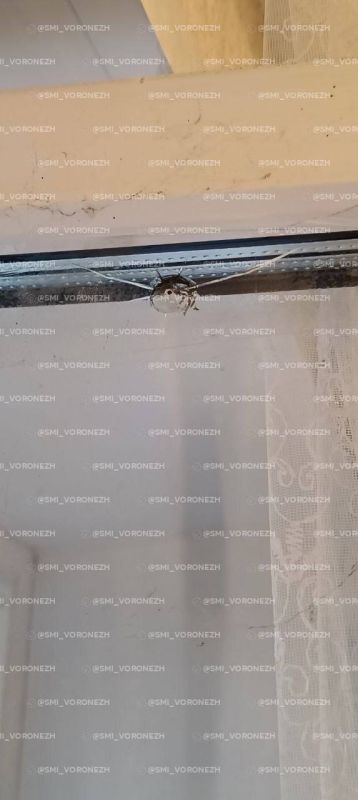 В Воронеже на улице Южно-Моравской неизвестный обстрелял окна многоэтажки