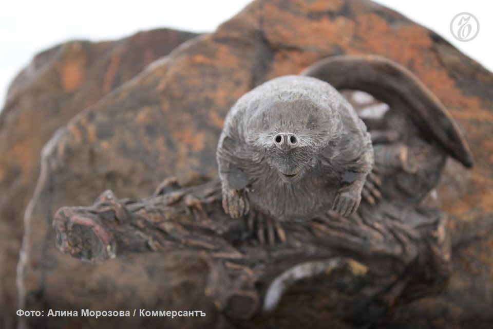 Премьер-министр России Михаил Мишустин распорядился передать 465,9 га в Новохоперском лесничестве Воронежской области Хоперскому заповеднику