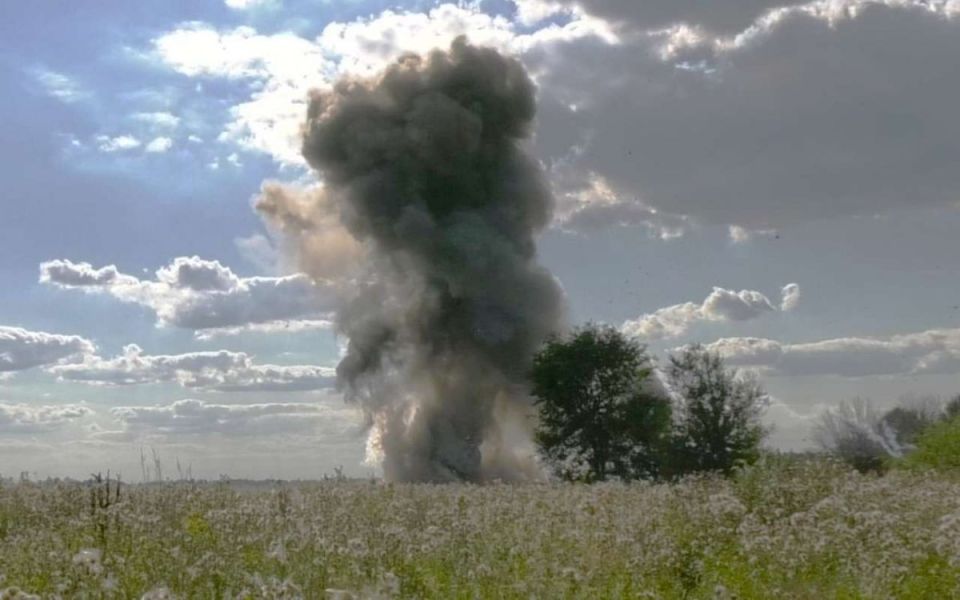 Три ручные гранаты времен Второй мировой войны обнаружили в Лискинском районе