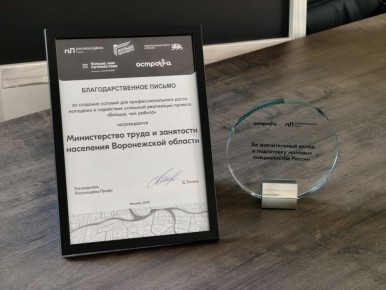 Воронежская область отмечена наградой Росмолодежи за успешное участие в проекте «Больше, чем работа»