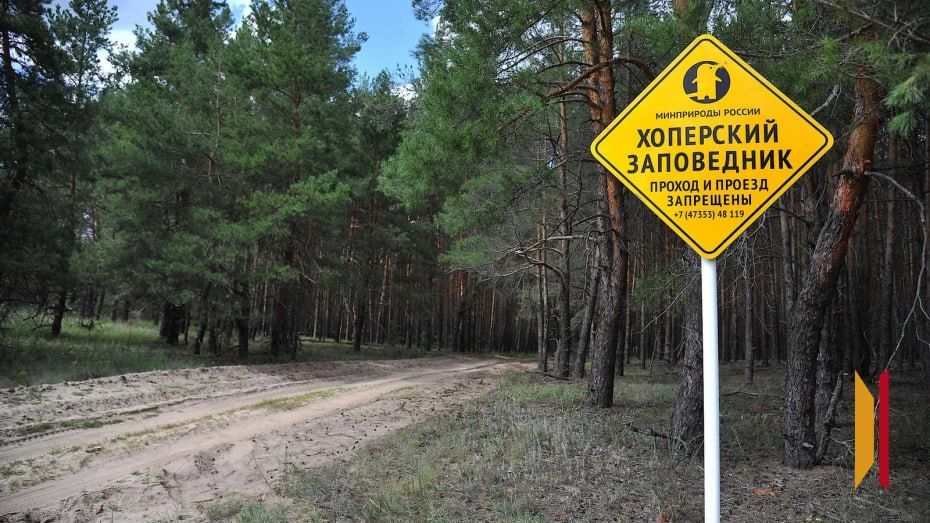 Площадь Хоперского заповедника в Воронежской области станет больше почти на 500 га