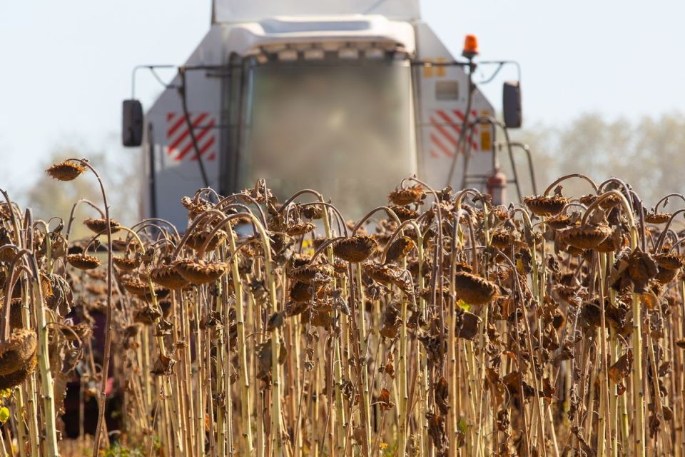 На продажу выставили элеваторный комплекс под Воронежем за 550 млн рублей