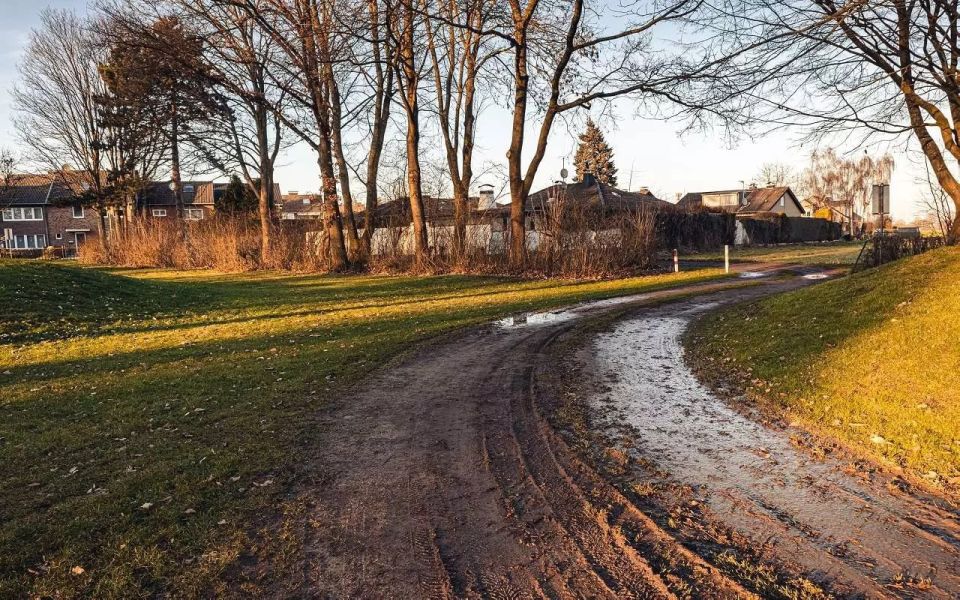 В части микрорайона Малышево на окраине Воронежа на два дня раньше снимают карантин по бешенству, установленный три месяца назад из-за заразившейся опасной инфекцией лисицы