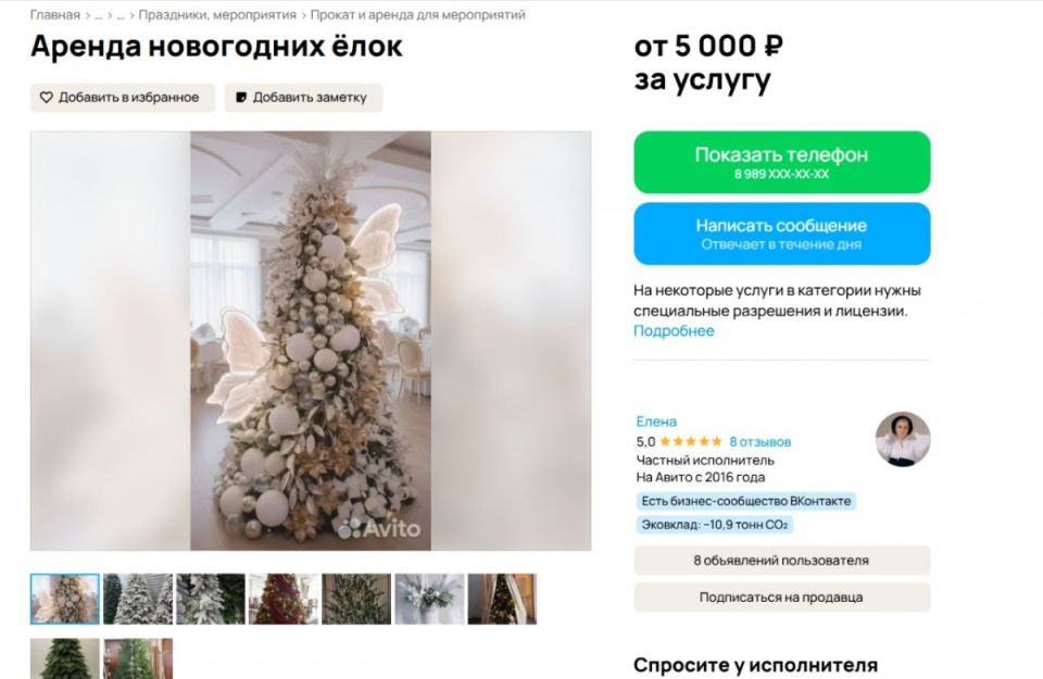 В Воронеже решили сдавать в аренду дизайнеские новогодние елки