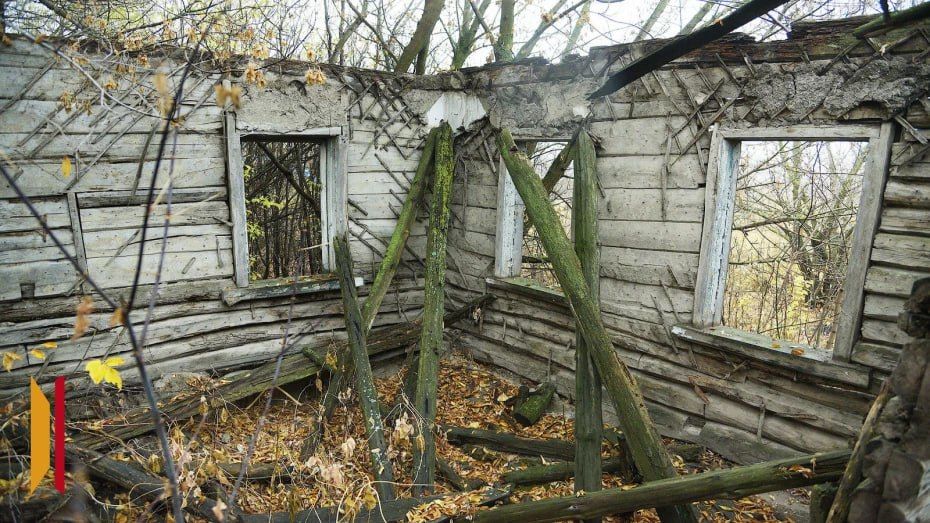 Воронежский Росреестр проведет горячую линию по вопросам использования бесхозных участков 27 ноября