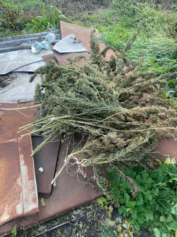 �������� ������: ������ ����������� ������ ������ ��������� � �����