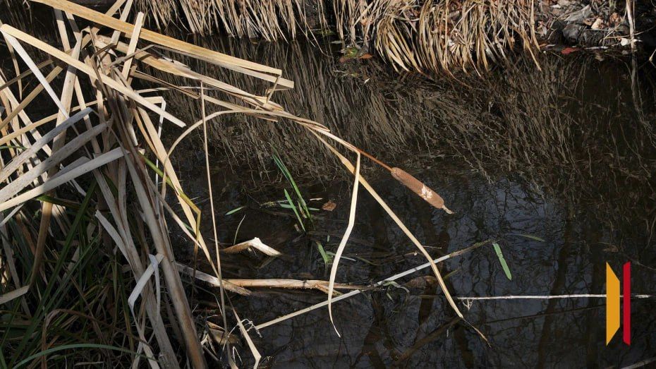 В Эртильском районе утонул 63-летний мужчина