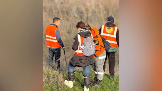 Воронежские волонтеры помогают в поиске пропавшей пенсионерки в Ростовской области