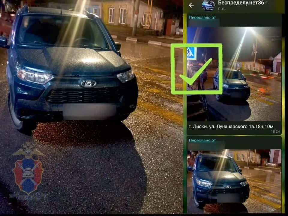 � ���������� ������������ ����������� ���������������� �� ����������, ����������� � ���-��� @Bespredelu_net36_bot, � ��������������� ��������� �������� ����������: