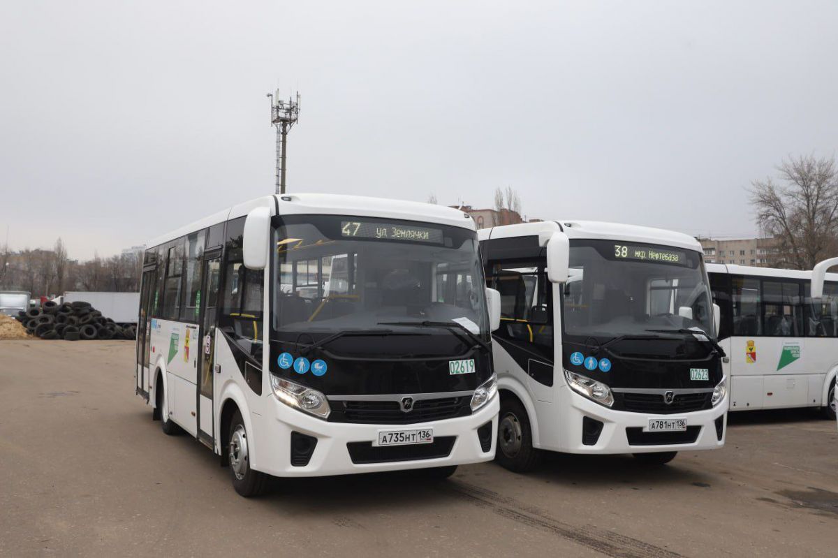 Воронежцам рассказали на каких маршрутах появятся новые автобусы