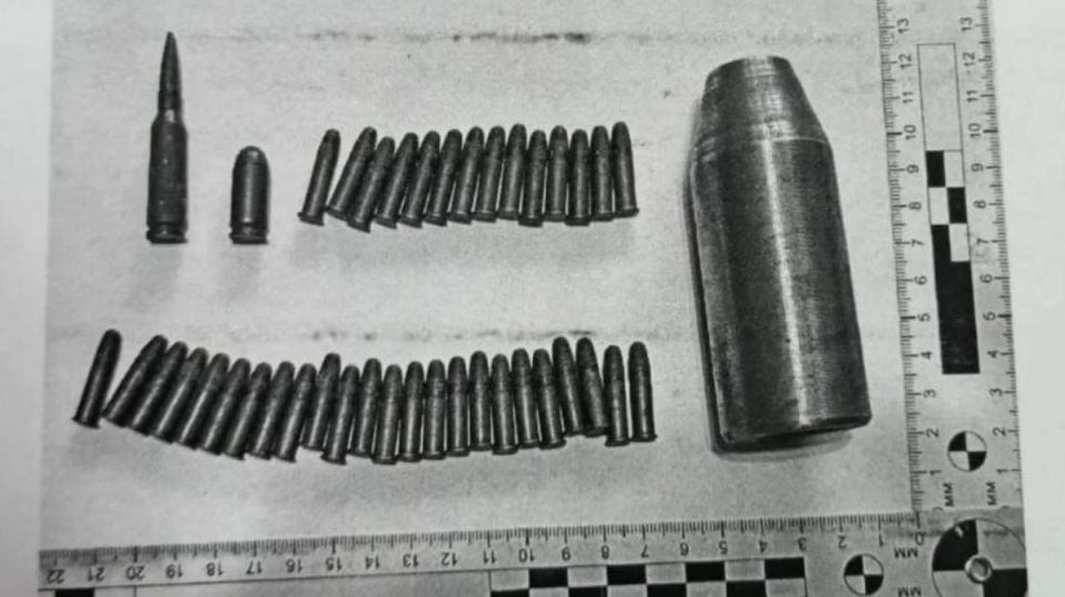 Воронежец нашел в лесу патроны и хранил их в старом портфеле