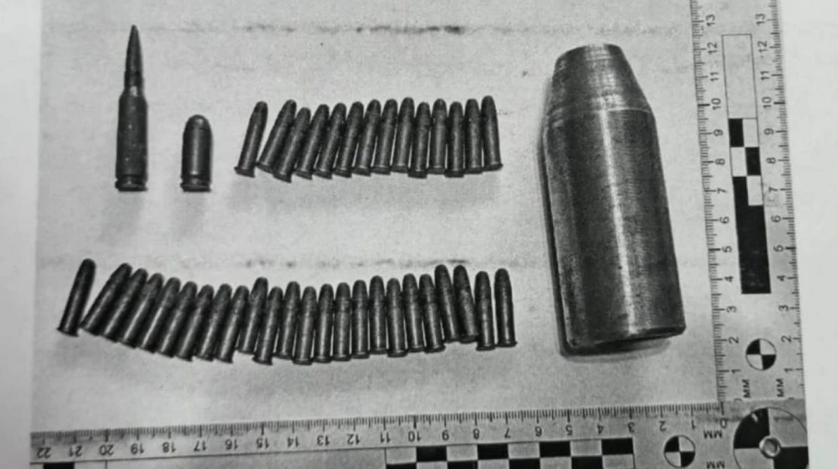 Воронежец нашел в лесу патроны и хранил их в старом портфеле